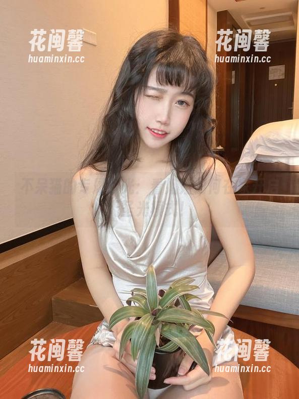 不呆猫 不呆猫的专属时光:看姐姐如何在家开启无圣光模式!