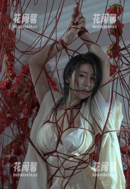 集结！云溪溪与她的双人女仆，私拍风格小聚会